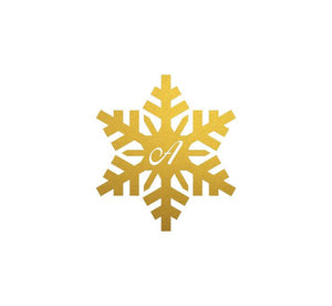 Snowflake Initial (4288983400522)